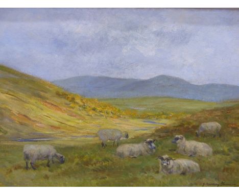 JOHN MURRAY- THOMPSON (1885-1974) ARR. SHEEP ON A RIVERSIDE MEADOW. OIL ON BOARD. SIGNED L/R 60 X 45 cm.