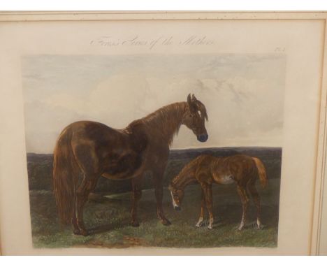 AFTER J. F. HERRING AN ANTIQUE HAND COLOURED PRINT HACK MARE AND FOAL. 35 x 38cms TOGETHER WITH A VINTAGE PRINT ENTITLED THE 