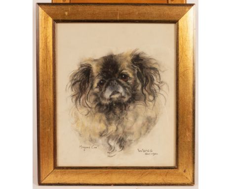 Marjorie Cox (1915-2003)/Wong/portrait of a dog/signed lower left/titled and dated lower right October 1961/watercolour, 29cm