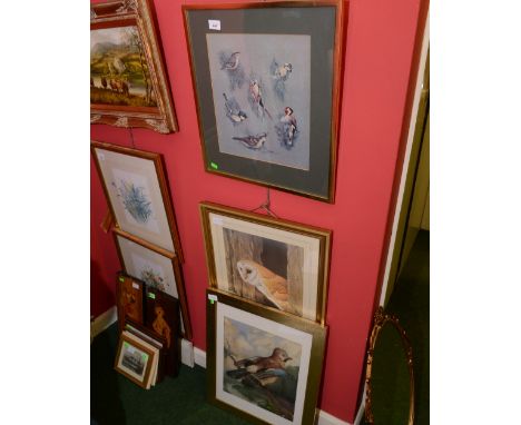R.E. Clarke, Study of a Jay, watercolour, signed and dated '98 together with a coloured print of an owl and a study of birds 