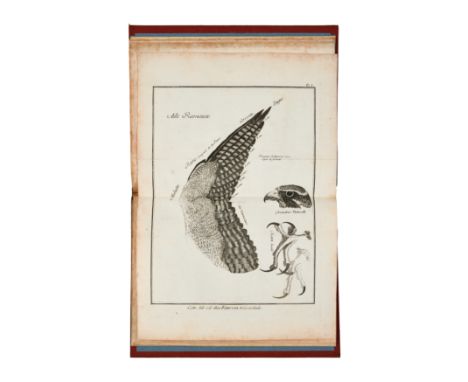 Falconry.- Huber (Jean) Observations sur le vol des oiseaux de proie, first edition, woodcut device on title, 7 double-page e
