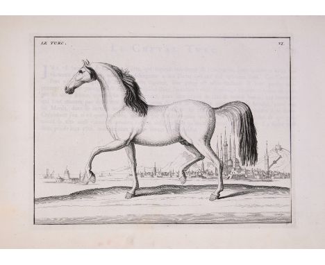 Horses.- Eisenberg d' (Barone) Description du Manege Moderne dans sa perfection, first edition, engraved additional title and