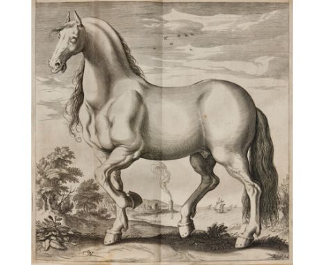 Horses.- Tacquet (Jean) Philippica ou Haras de cheuaux, engraved title (torn, repaired and laid down with some loss to margin