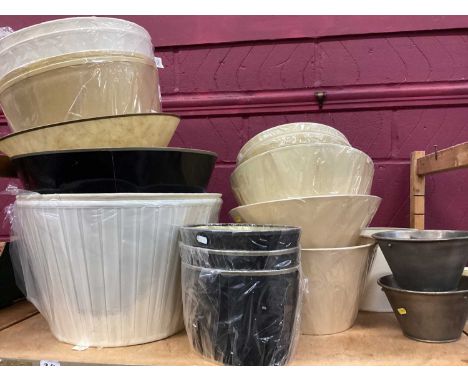 selection of light shades