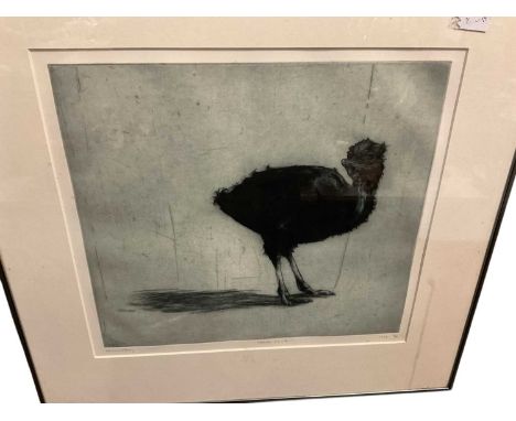 Helen Fay (b 1968) etching, ostrich chick, signed and titled, plate 31 x 35cm, glazed frame 