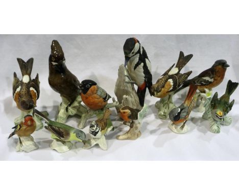 Twelve Goebel birds, largest H: 18 cm, no cracks or chips. P&amp;P Group 3 (£25+VAT for the first lot and £5+VAT for subseque
