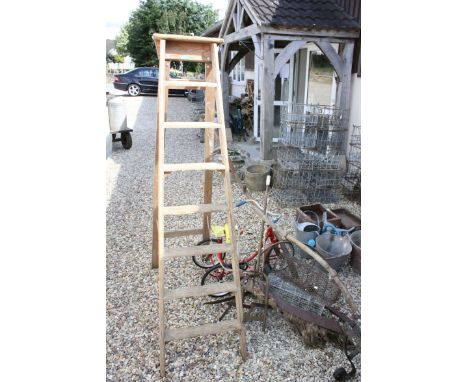 Mixed Lot including Large Pair of Wooden Step Ladders, Child's Tricycle and a Child's Pair of Sack Trucks together with Two W