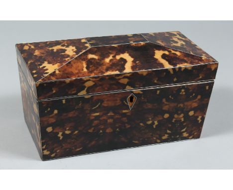 A FAUX TORTOISESHELL TWO DIVISION TEA CADDY 9.5ins high.