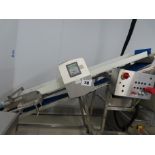 CEIA WHOLE BLOCK INCLINE METAL DETECTOR.
