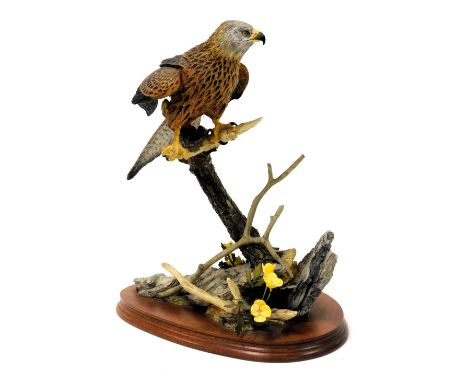 A Border Fine Arts figure of a red kite, designed by R J Roberts, limited edition 318/600, on a wooden base, with certificate