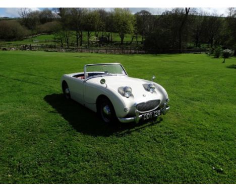 EXTRA LOT:  A 1959 Austin Healey Sprite (Frogeye), registration number ODY 128, Old English white.  This charming and very or