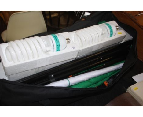 A quantity of camera lighting in fitted bag 