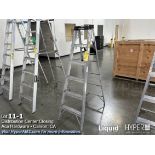 Werner 6' ladder