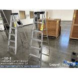 Werner 6' ladder
