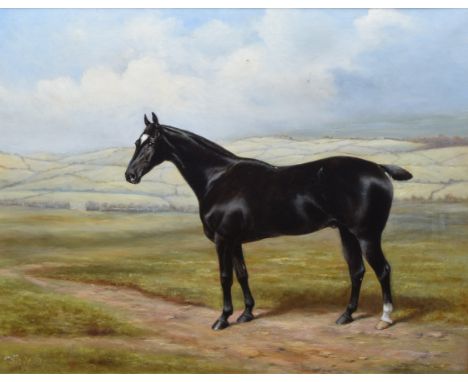 English School, 20th century, Portrait of a horse, unsigned, oil on canvas, 60.5 x 73.5cm, 23.75 x 29in.Condition report: The