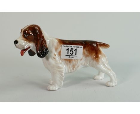 Reg Johnson for Royal Doulton trial Springer Spaniel: Marked to base - studio potter R Johnson springer spaniel, and possibly