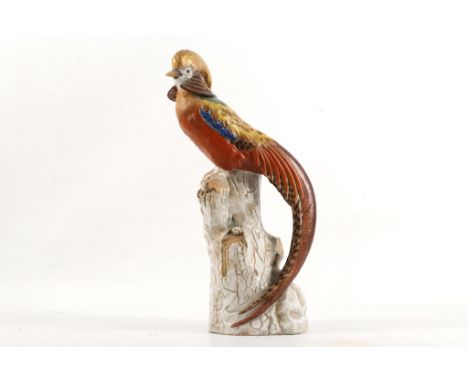 A 19th Century Dresden porcelain model of a golden pheasant on tree stump, 32cm high.