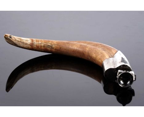 A Victorian warthog tusk table cigar cutter with metal mount, 20cms.