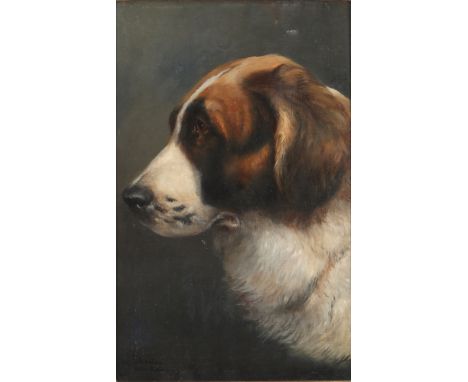 Alfred Schönian (1856-1936) Bernhardiner Portrait, portrait of a St. Bernard dog,Öl/Leinwand, u. links signiert Alf. Schönian
