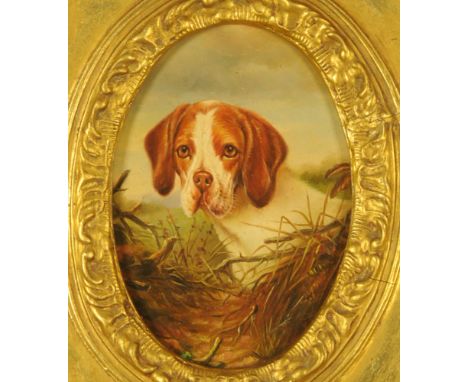 Oil painting of 19th century style, portrait of a Beagle, oval, 16 x 11 cm in deep gilt moulded and swept frame.