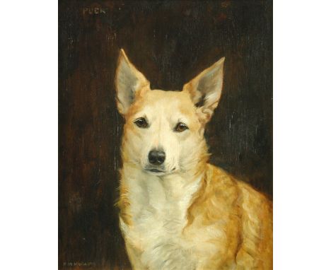 Florence Mabel Hollams (British, 1877-1967) Study of 'Puck', a Welsh Corgi signed lower left 'F M Hollams' oil on panel 43 x 