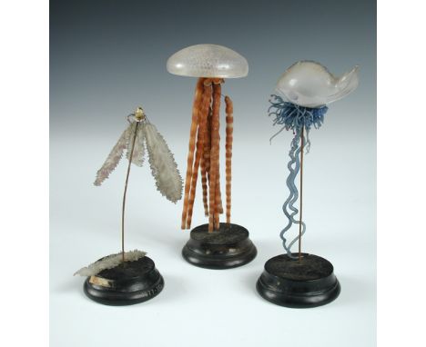 Three 19th century glass models of jelly fish, possibly by Rudolf Blaschka (1857-1939), the creatures raised on iron rods fro