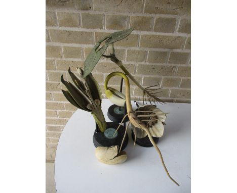 R Brendel Berlin W', three 19th century laboratory student's papier mache plant models, the ebonised circular stands with blu