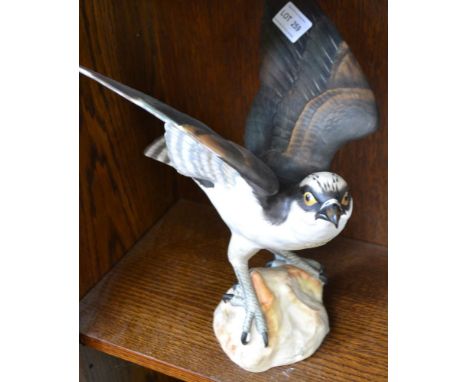 A Spode fine bone china model of an open winged osprey, hand painted with printed marks to underside, and artists monogram AW