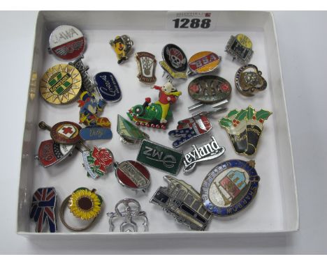 Enamel Pin Badges, "Isle of Mann TT 1966', BSA Norton, NUM Derbys and other pin badges.