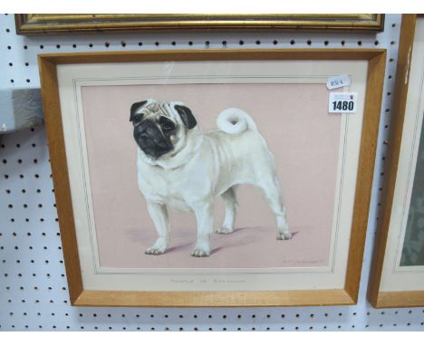Bridget P. Olerenshaw, Portrait of a Pug Dog 'Thistle of Stravaich', signed and dated 1969 bottom right, 22.5 x 28cm.