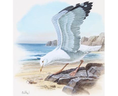 Don Balke (North Carolina, B. 1933) "Herring Gull" Signed lower left. Original Watercolor on Illustration Board. Provenance: 