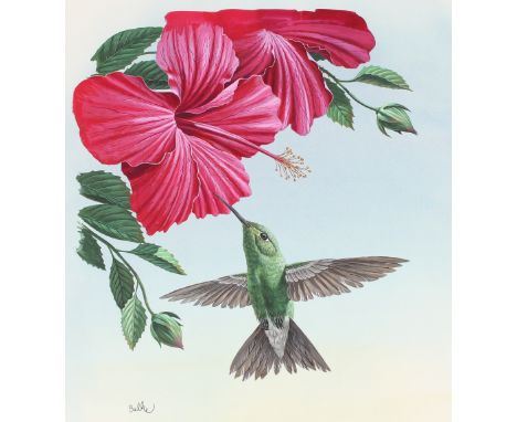 Don Balke (North Carolina, B. 1933) "Bahamas/Cuban Emerald Hummingbird" Signed lower left. Original Watercolor on Illustratio