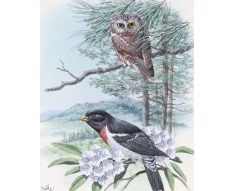 Don Balke (North Carolina, B. 1933) "Owl and Grosbeak" Signed lower left. Original Watercolor painting on Illustration Board.