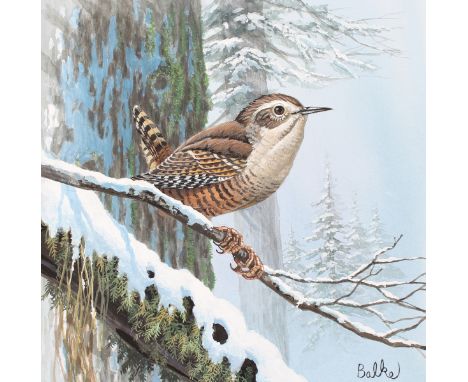 Don Balke (North Carolina, B. 1933) "Winter Wren" Signed lower right. Original Watercolor on Illustration Board. Provenance: 