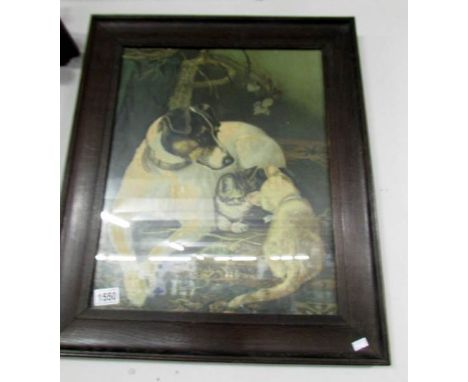 A framed and glazed print of a Terrier dog with 2 cats and 2 framed and glazed prints of Victorian working horses.