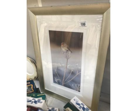A framed and glazed robin print.