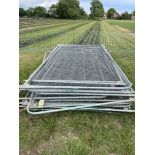 Heras Fence Panels x 20
