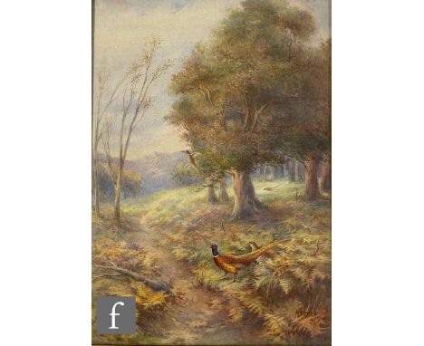 HARRY STINTON (1883-1968) - Pheasants in an autumnal landscape, watercolour, signed, framed, 38cm x 25cm, frame size 57cm x 4