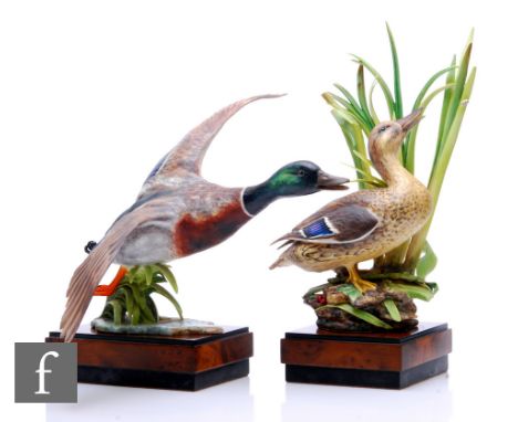 A Royal Worcester model of Mallard Male, modelled by Ronald van Ruyckevelt, printed marks, complete with certificate of authe