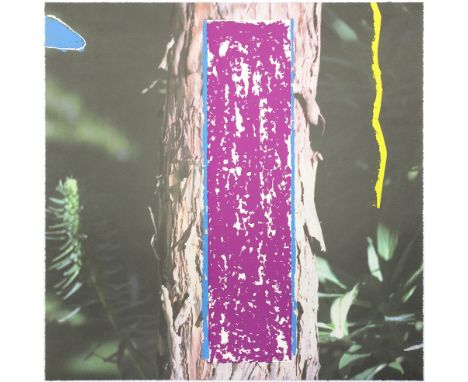 John Baldessari (American, 1931-2020)Tree, from 2623 Third Street, Santa Monica (Coplan Hurowitz 112) Lithograph with screenp