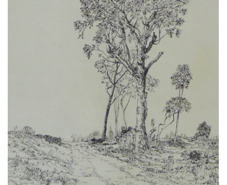 Late 20th century School,  Woodland path,  Ink sketch / drawing,  signed and dated June 2nd '75,  in a glazed and giltwood fr