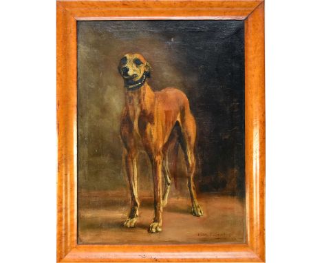 Violet Thorne Seckham (British, 1865-1966), portrait of a standing whippet, signed lower right, oil on canvas, small 1cm tear
