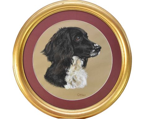 Mary Browning (English, late 20th century), portrait of a spaniel, 'Otter', titled, pastel, 38.5cm diameter, frame 59cm diame