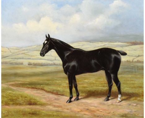 English School (19th/20th century) Portrait of a standing black horse in a rural landscape Unsigned, oil on canvas.60 x 73.5c