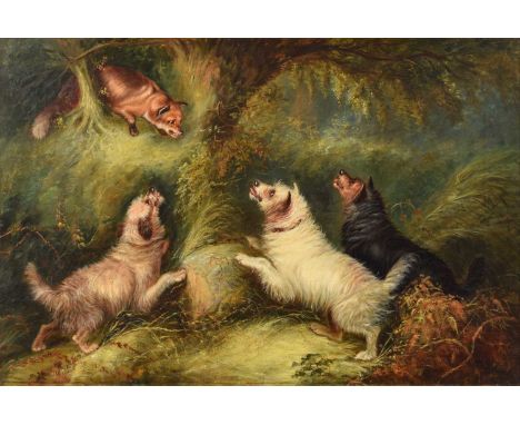 Attributed to George Armfield (British 1808-1893) Three terriers and a fox Unsigned, oil on canvas.50 x 75cm (framed 77.5 x 1