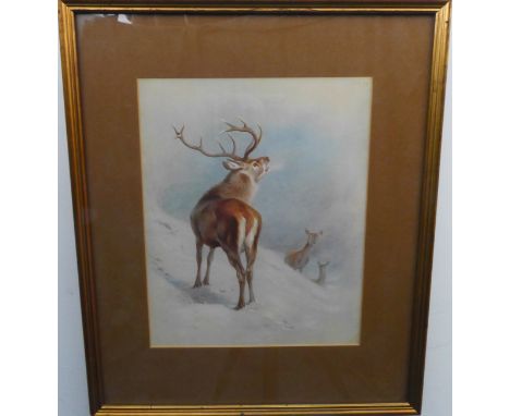 After ARCHIBALD THORBURN - Red Deer in the Snow, lithograph marked Pl 37 from 'British Mammals' 1920 (?), plate size 11¾ in x