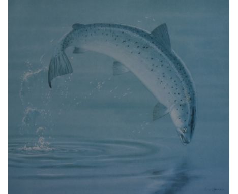 After Tim Havers (20th Century British), print, four prints of game fish comprising 'The Brown Trout', 'The Sea Trout', 'The 