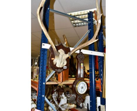 A SET OF TWO POINT ANTLERS MOUNTED ON AN OAK SHIELD, A BRASS WRITING DESK TIDY WITH TWIN INKWELLS, A PAIR OF REGENT BINOCULAR