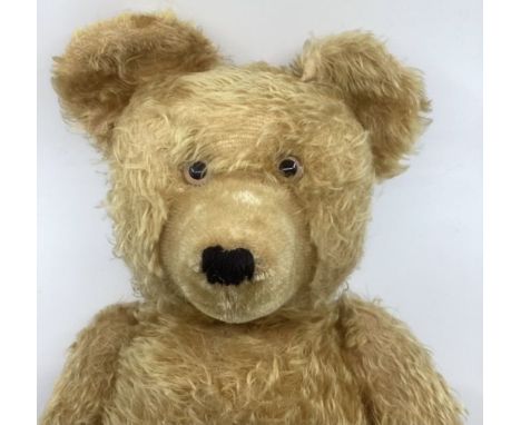 Large 26”Antique Teddy Bear flat footed pads , Chiltern like in appearance clipped snout glass eyed, small growl ,pale blush 