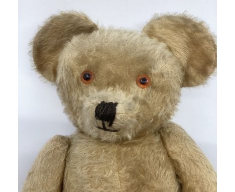 Antique 23” &nbsp;pronounced snout golden mid Century Teddy bear with globe like large cup ears, possibly a Chad Valley ,( no